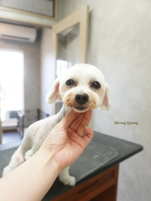 画像8733