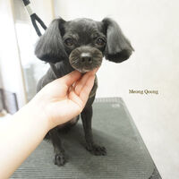 画像8762