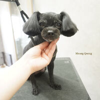 画像8763