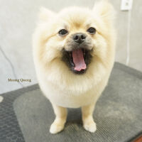 画像8765
