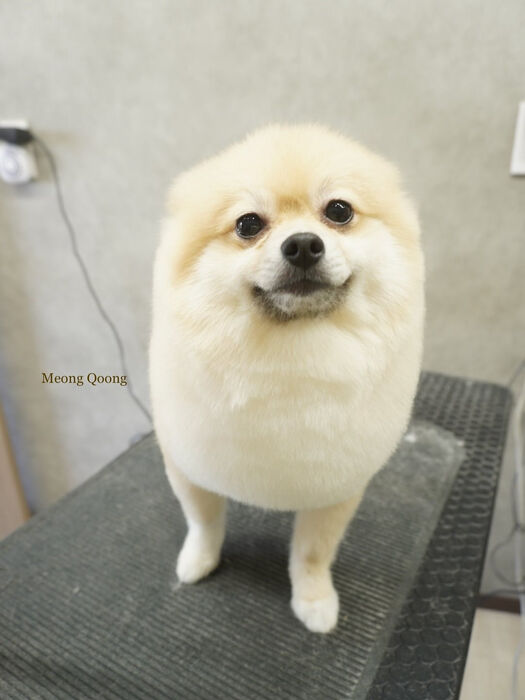 画像8770