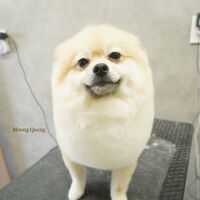 画像8771