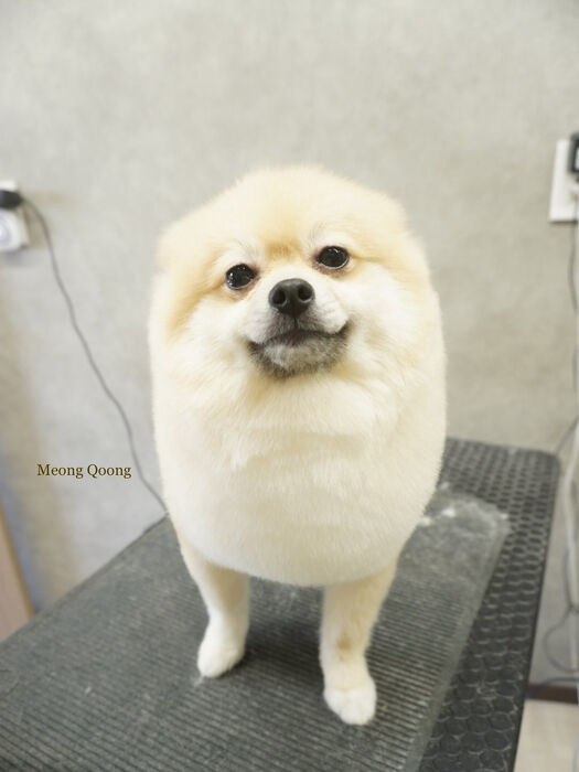 画像8771
