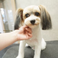 画像8855