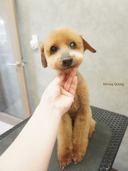 画像8866