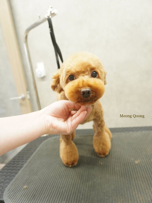 画像8885