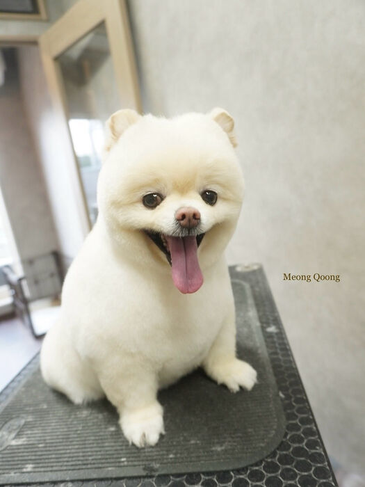 画像8937