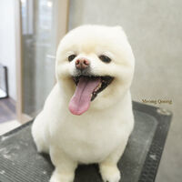 画像8938