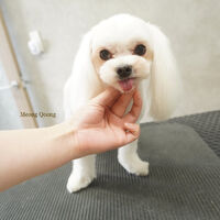 画像9004