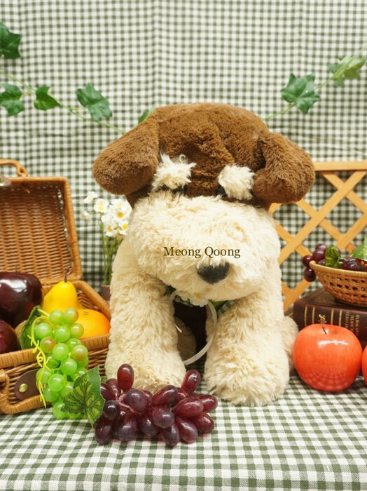 画像9077