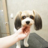 画像9370