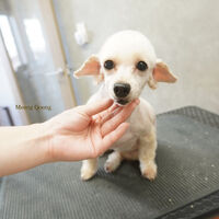 画像9372