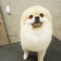 画像9446