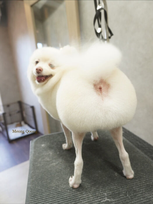 画像9601