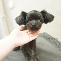 画像9663