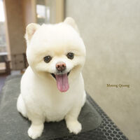 画像9692