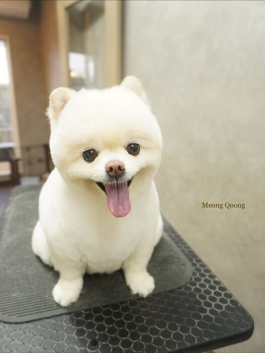 画像9692