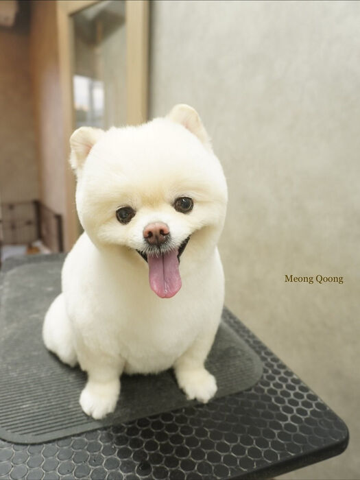 画像9693
