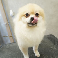 画像9695