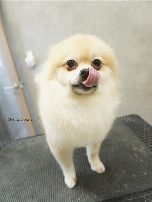 画像9695