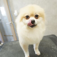 画像9696