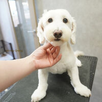 画像9698