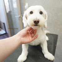 画像9699