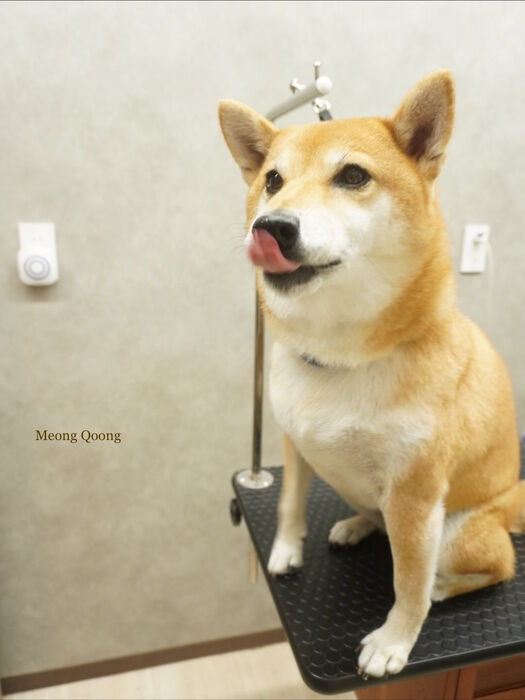 画像9715