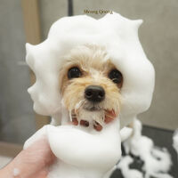 画像9766
