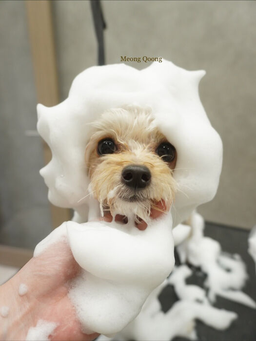 画像9766