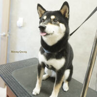 画像9793
