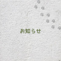 画像9806