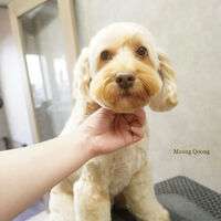 画像9887