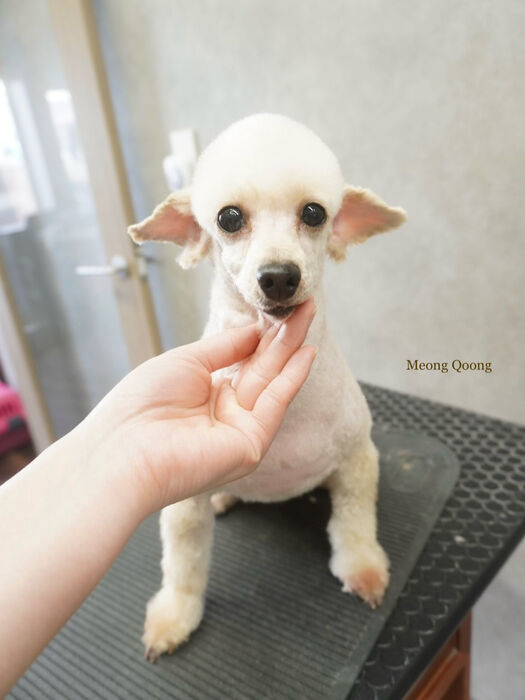 画像9904