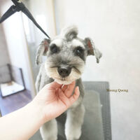 画像9954