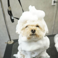 画像9991