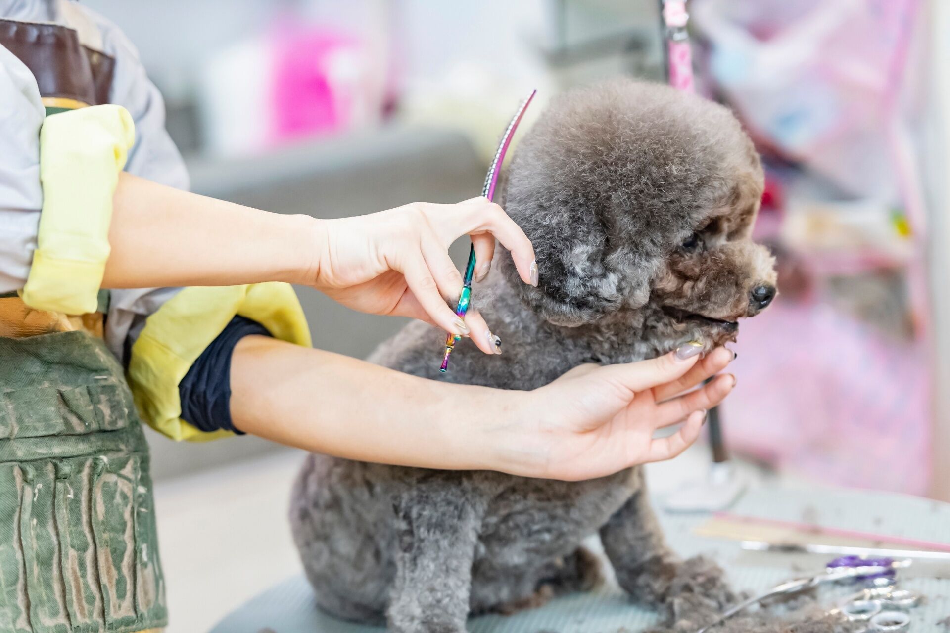 AdobeStock_319666695